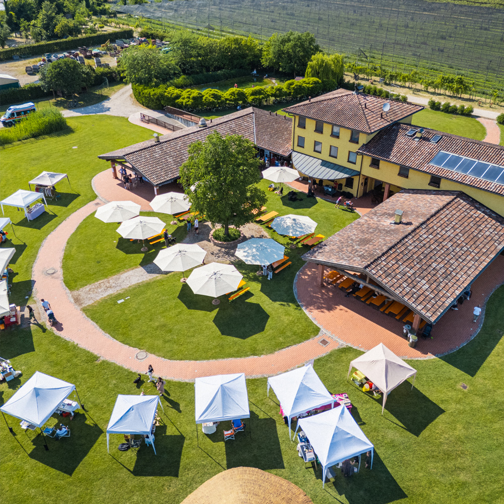 Fotografie di Eventi e Live a Verona